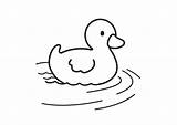 Ente Ausmalbilder Ausdrucken Duck sketch template