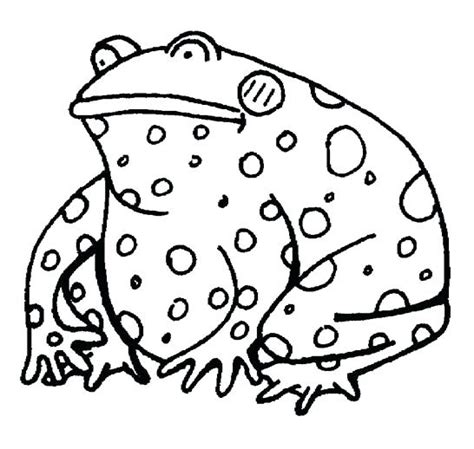 toad coloring pages  getcoloringscom  printable colorings