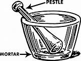 Mortar Pestle Drawing Pharmacy Clipart Getdrawings Use Tool Pixabay Clean Season Vector Sketch Transparent Webstockreview sketch template
