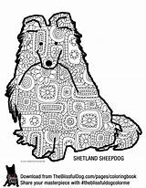 Coloring Shetland Sheepdog Book Collie Border Pages Sheltie Theblissfuldog Books Dog Divyajanani sketch template