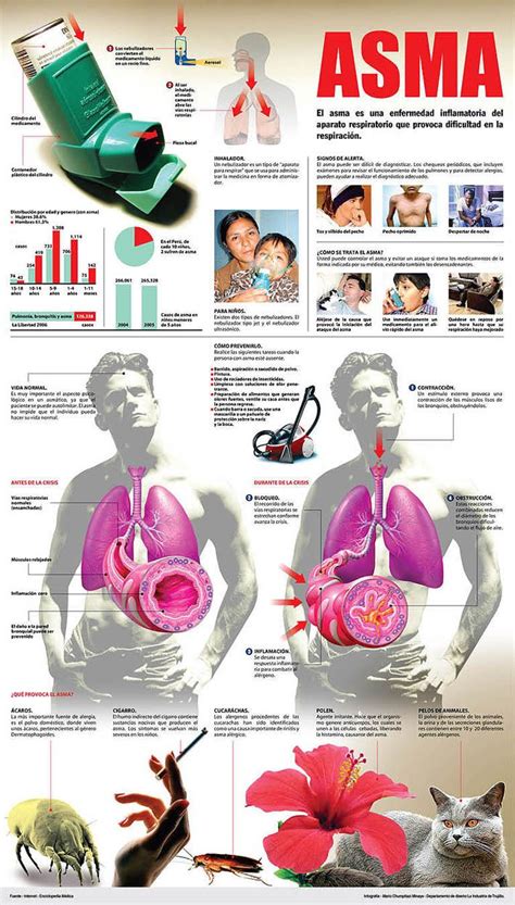 pin de theresa olson en whats up doc salud salud enfermedad y infografia salud