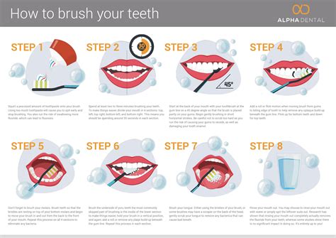 brush  teeth infographic