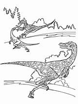 Velociraptor Raptor Dinosaurs Dinossauro Dinosaurier Dinosaurios Dinosaure Kleurplaat Greatestcoloringbook Dino Desenhos Dinosaurio Microraptor Supercoloring Stampare Dinosauri Afb Dharma Wiel Disegnare sketch template