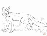 Fox Drawing Coloring Pages Kit Arctic Ox Swift Cute Getdrawings Super Puzzle Color Categories Supercoloring sketch template