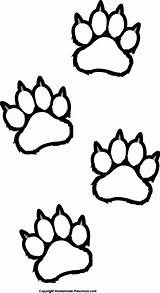 Paw Bear Outline Tiger Clipart Clipartmag Tags sketch template