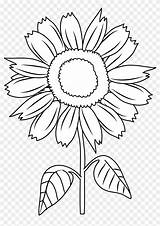 Coloring Sunflower Clipart Sunflowers Flower Sun Clip Cartoon Drawing Outline Color Line Pretty Pages Flowers Cliparts Easy Clipartfest Library Clipground sketch template