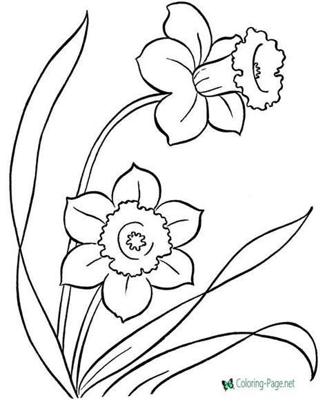 flower coloring pages red poppy