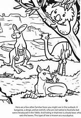Outback Coloring Australian Animals Pages Kids Animal Sheets Colouring Color Australia Drawings Template Designlooter Activities Activity Books Children Choose Drawing sketch template