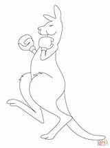 Kangaroo Coloring Boxing Drawing Pages Outline Red Supercoloring Getdrawings Printable Cartoon sketch template