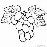 Coloring Grapes Fruits Vegetables Bunch Grape Print sketch template