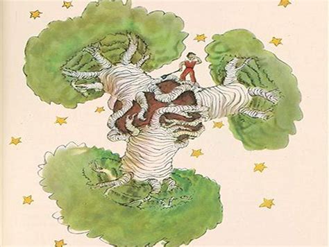 Baobabs El Principito The Little Prince The Little