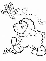 Coloring Sheep Pages Butterfly Baby Choose Board Chasing Animal sketch template