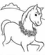Coloring Horse Pages Cute Printable Horses Horseshoe Kids Funny Riding Mustang Girl Spirit Morgan Print Colouring Drawings Head Pony Clydesdale sketch template