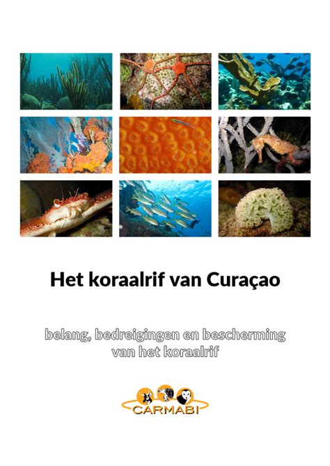 het koraalrif van curacao nederlands carmabi