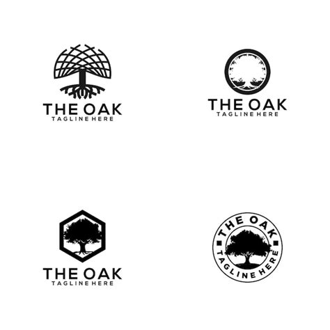 premium vector oak logo collection