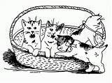 Coloring Kitten Cat Pages Drawing Clipart Basket Kittens Family Animals Puppies Puppy Baby Printable Cute Popular Clip Paintingvalley Color Library sketch template