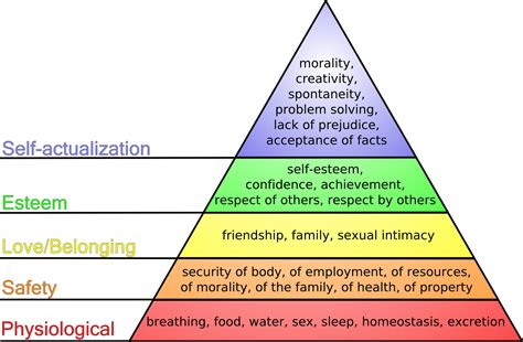 maslow s hierarchy of needs psychology wiki fandom