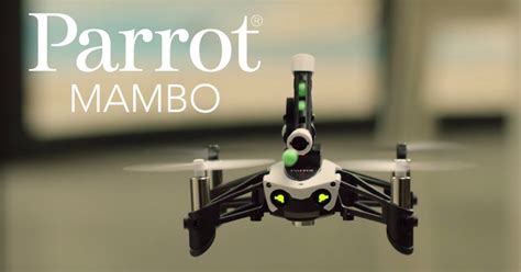 parrot mambo review   drones     drone review