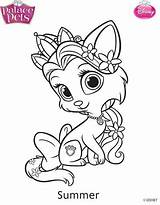 Colorear Mascota Dibujalandia Whisker Princesa Bibbidy Páginas Artecomquiane Kleurplaat Mascotas Pinypon Malvorlage Escolha Moldes Erstellen sketch template