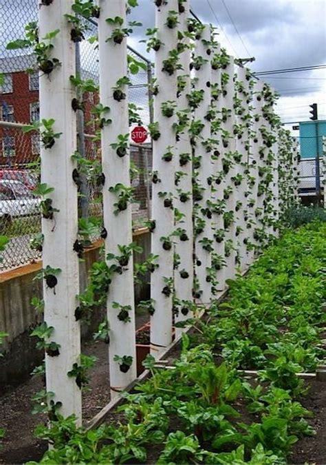 innovative ways  create  vertical garden
