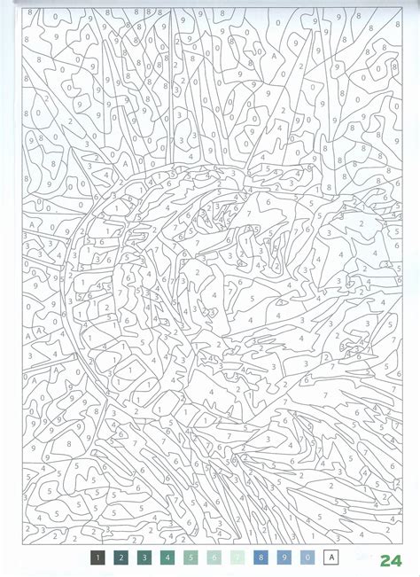 color  number  adults fun coloring page