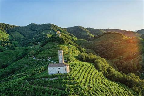 italys prosecco hills proclaimed unesco world heritage site  beverage journal