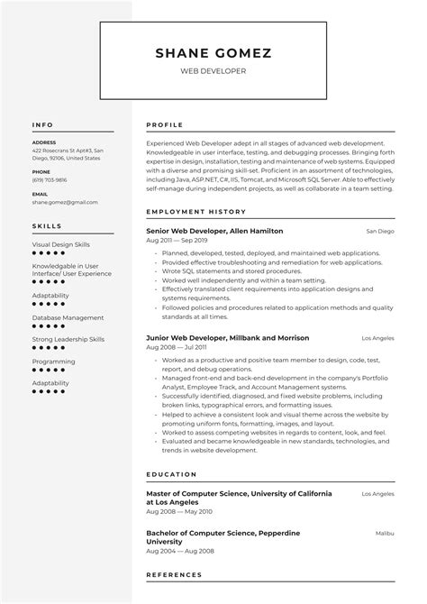 aspnet web developer cv template invitation template ideas