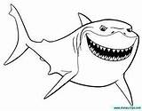 Nemo Coloring Finding Bruce Pages Shark Cartoon Clipart Disney Google Dory Colouring Printable Dibujo Para Colorear Tiburon ぬりえ Sheets Kids sketch template
