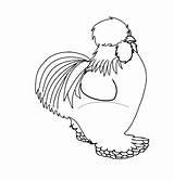 Silkie Chickens Coloringpageblog Egg sketch template