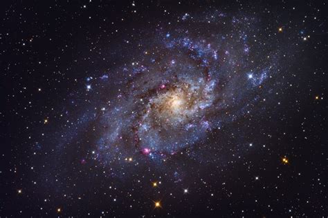 triangulum galaxy  nearby spiral galaxy annes astronomy news