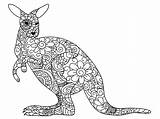 Kangaroos Kangourou Kangur Kangourous Printable Zentangle Druku Kolorowanka Pleins Détails Coloriages Fleuri Enfants Animals Wydrukuj Malowankę sketch template