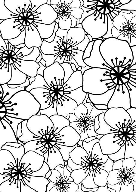 poppy colouring book page printable poppy coloring page