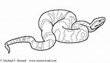 Cottonmouth Mamba Snake Reptile Getcolorings Devon Salamander Venomous Amphibian sketch template