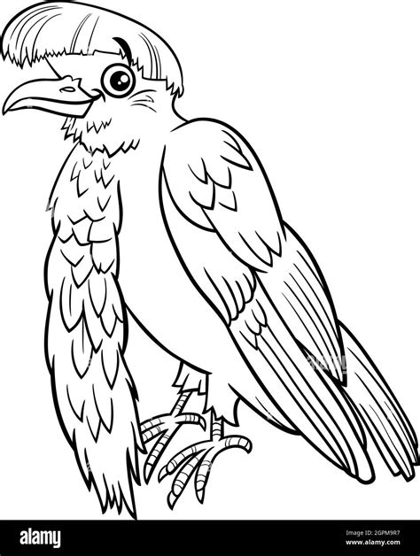 cartoon umbrellabird animal character coloring book page stock vector