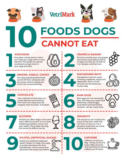 foods dogs  eat printable