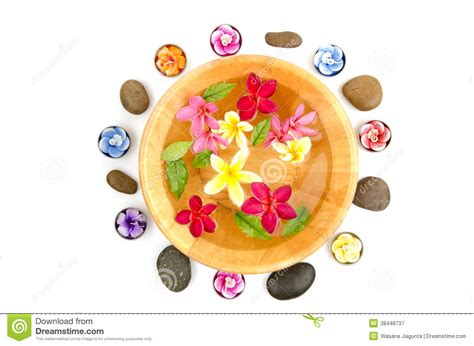 floral spa stock image image  plumeria stones scented