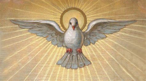 ¿cómo Nos Santifica El Espíritu Santo Parroquia San Miguel Arcángel