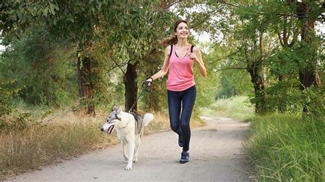 study finds  dog owners walk   times    owners