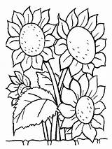 Zonnebloemen Leukekleurplaten één sketch template
