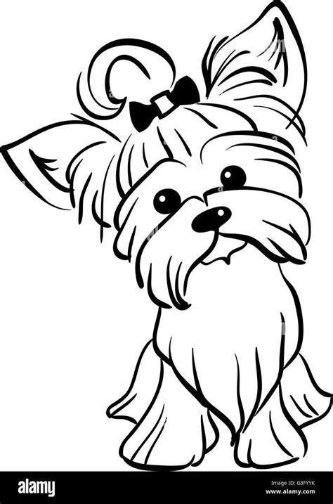 Dibujo Vectorial Gracioso Yorkshire Terrier Perro Sentado Imagen Vector