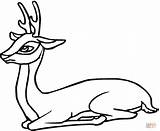 Deer Roe Coloring Clipart Pages Sits Antelope Gif Color sketch template