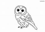 Waldtiere Eule Ausmalbild Malvorlage Schleiereule Owl sketch template