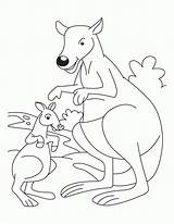 Kangaroo Kanguru Mewarnai Australien Joey Getcolorings Paud Letzte Q1 Ausmalbild Bestcoloringpages sketch template