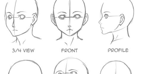somniare lilium head proportions        draw  proportional face