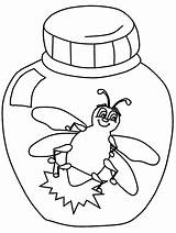 Coloring Bug Pages Lightning Firefly Clipart Bugs Animals Pill Firefly2 Printable Template Kids Bolt Drawing Pennsylvania Lightening Color Grasshopper Preschool sketch template
