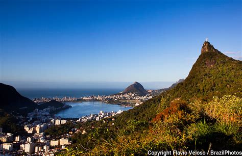 tijuca forest rio de janeiro brazil