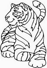 Coloring Pages Animal Kids Easy Tiger Printable Cute Popular Girl sketch template