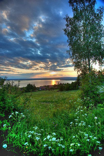 evening in sweden beautiful nature beautiful landscapes