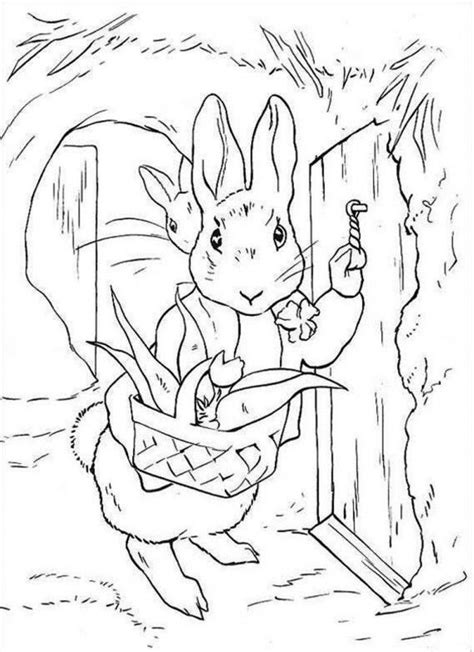 peter rabbit printables coloring home
