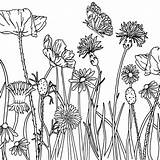Kinderwelt Seebauer Blumen Pflanzen sketch template